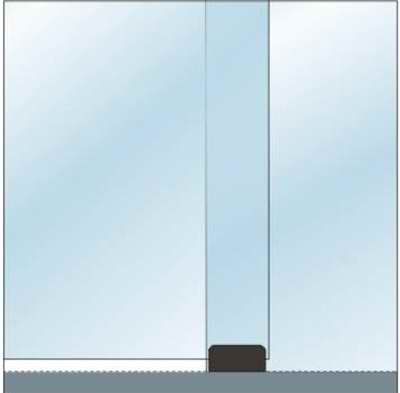 Ghidas pardosea OF-A-9